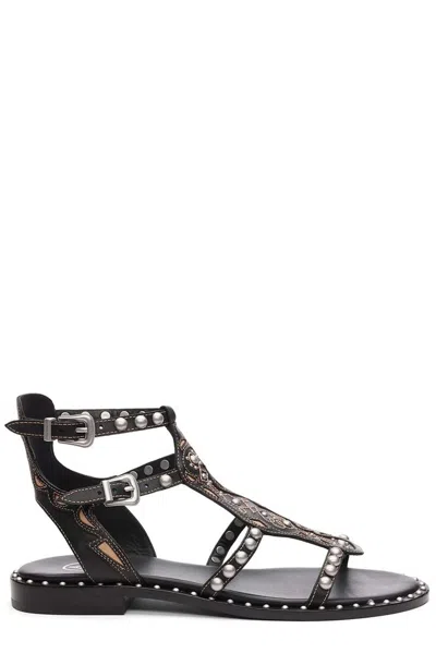 Ash Plaza Round-toe Sandals In Black