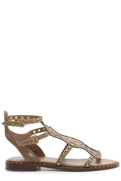 Ash Plaza Studded Leather Sandals In Leather Brown