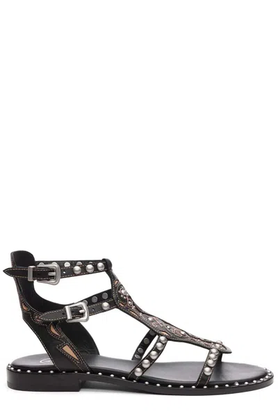 Ash Plaza Cage Sandal In Black
