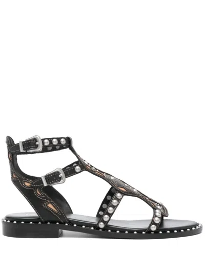 Ash Plaza Cage Sandal In Black