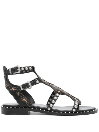 Ash Plaza Studded Leather Sandals In Black