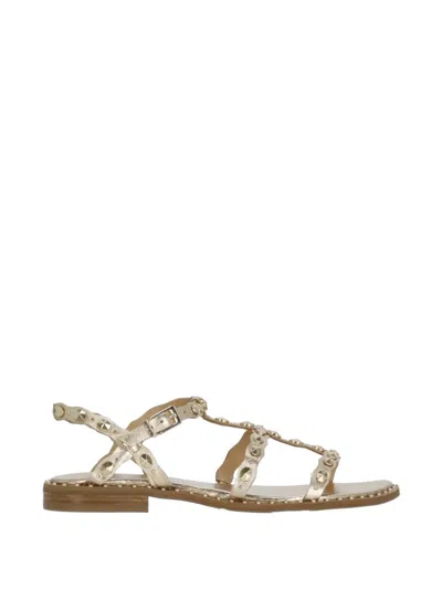 Ash Plus Sandals In Multi