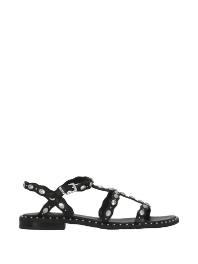 Ash Plus Stud-embellished Leather Sandals In Black