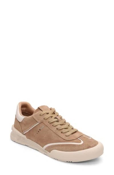 Ash Podium Sneaker In Noisette/gardenia