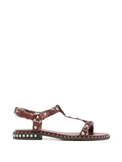 Ash Podium Stud-embellished Sandals In Brown