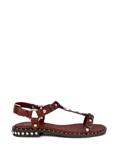 Ash Podium T-bar Flat Sandals In Brown