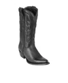 Ash Pointed Boots In Black