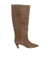 Ash 50mm Violet Pointed-toe Boots In Multi