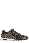 Ash Pony Leopard Print Sneakers In Multi