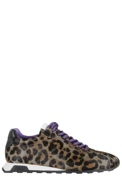 Ash Pony Leopard Print Sneakers In Multi