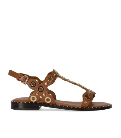Ash Pop Cinnamon Flat Sandal In Brown