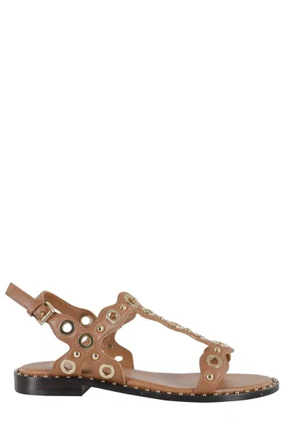 Ash Flat Sandals With Wave Pattern In Brown