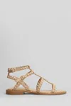 Ash Precious Flats In Powder Leather In Powder