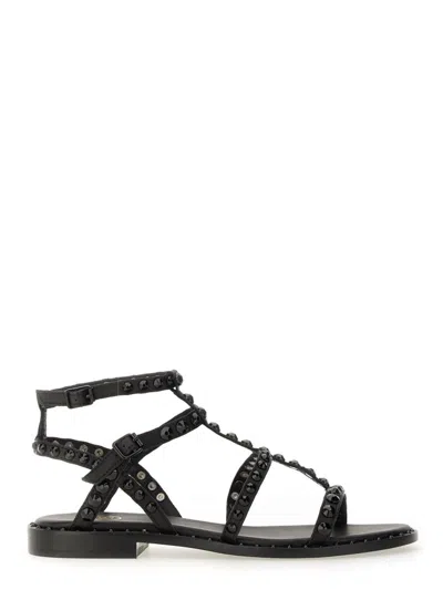 Ash "precious Bis" Sandal