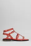 Ash Sandal Precious