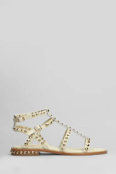 Ash Precious Flats In Sand