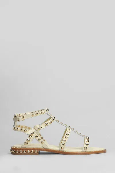 Ash Precious Flats In Sand