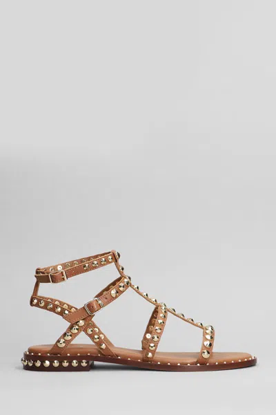 ASH ASH PRECIOUS FLATS COLOR