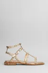 Ash Flat Shoes Golden