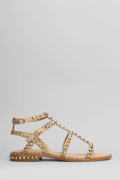 Ash Precious Flats In Powder Leather