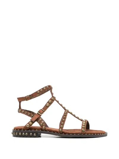 Ash Precious Leather Sandals In Brown