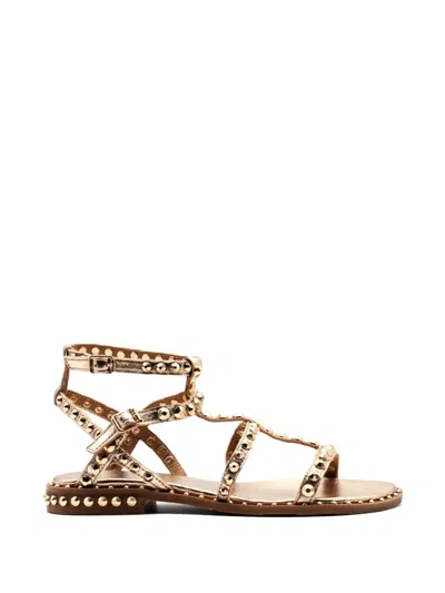 Ash Precious Studded Sandals In Brown
