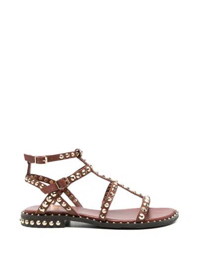Ash Studded Flat Sandals With Ankle Strap And Cushioned Footbed In Brown