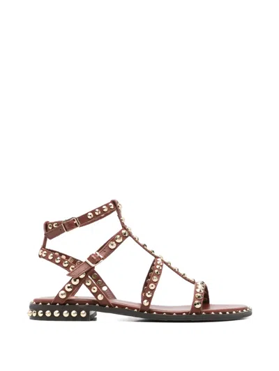 Ash Precious Stud-embellished Sandals In Burgundy