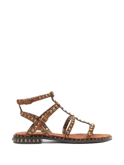 Ash Precious Stud-embellished Sandals In Brown