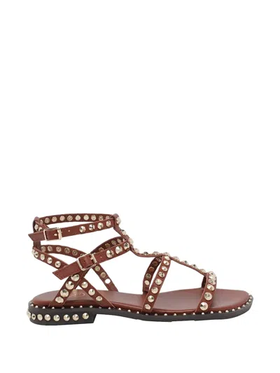 Ash Precious Stud-embellished Sandals In Brown