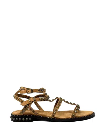 Ash Precious Stud-embellished Sandals In Brown