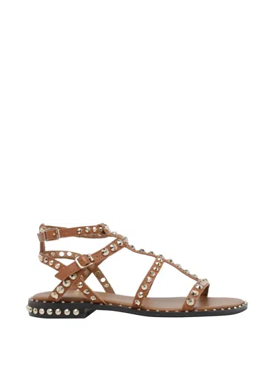 Ash Studded Flat Sandals With Ankle Strap And Cushioned Footbed In Brown