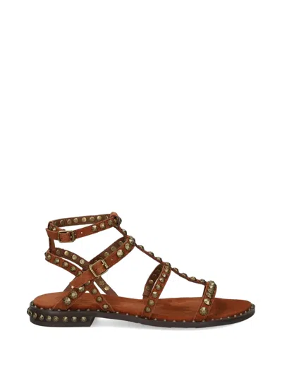 Ash Precious Stud-embellished Sandals In Brown