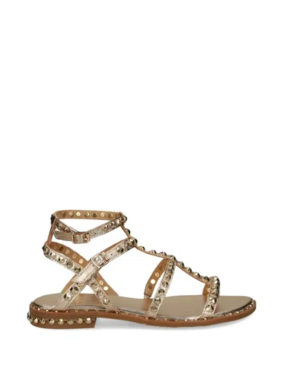 Ash Precious Stud-embellished Sandals In Gold