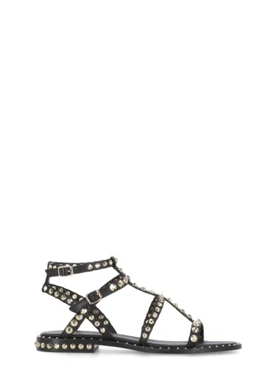 Ash Precoius Sandals In Black