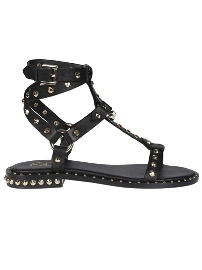 Ash Pulp Sandals In Black/sungold