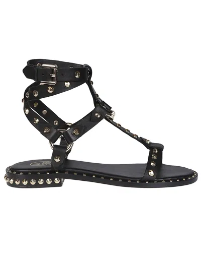 Ash Stud-embellished Leather Sandals In Black