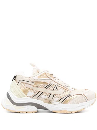 Ash Race Sneakers In Beige White Gold
