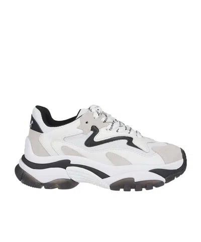 Ash Round Head Low-cut Sneakers In White