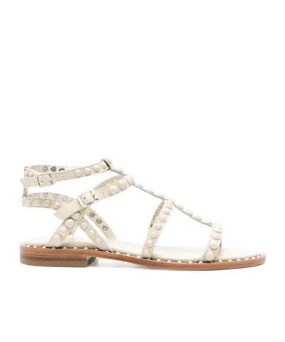 Ash Round-headed Flat Sandals In Multicolor
