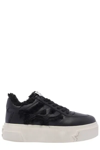 Ash Sailor Platform Sneaker In Black