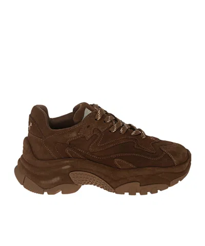 ASH ROUND-TOE SNEAKERS