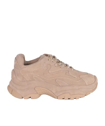 Ash Round-toe Sneakers In Brown