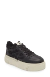 Ash Low Top Sailor Style Leather Sneakers In Black/black