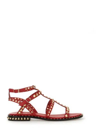 Ash Sandal Precious In Red