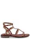 Ash Gladiator Sandal Open Toe Ankle Strap In Brown