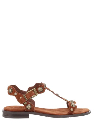 Ash Sandalo Phanny In Brown