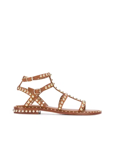 Ash Sandalo Precious Marrone Con Applicazioni In Brown