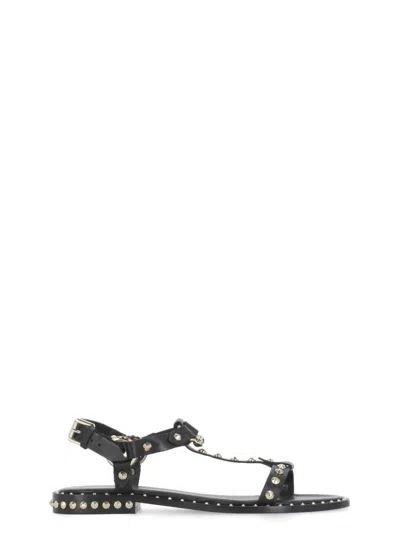 Ash Sandals In Black