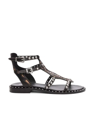 Ash Sandals In Black